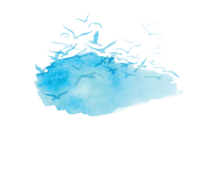 Bay Shores Real Estate Newport Rhode Island Massachusetts